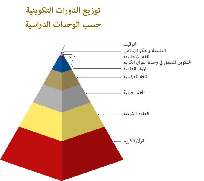 توزيع الدورات التكوينية حسب الوحدات الدراسية توزيع الدورات التكوينية حسب الوحدات الدراسية